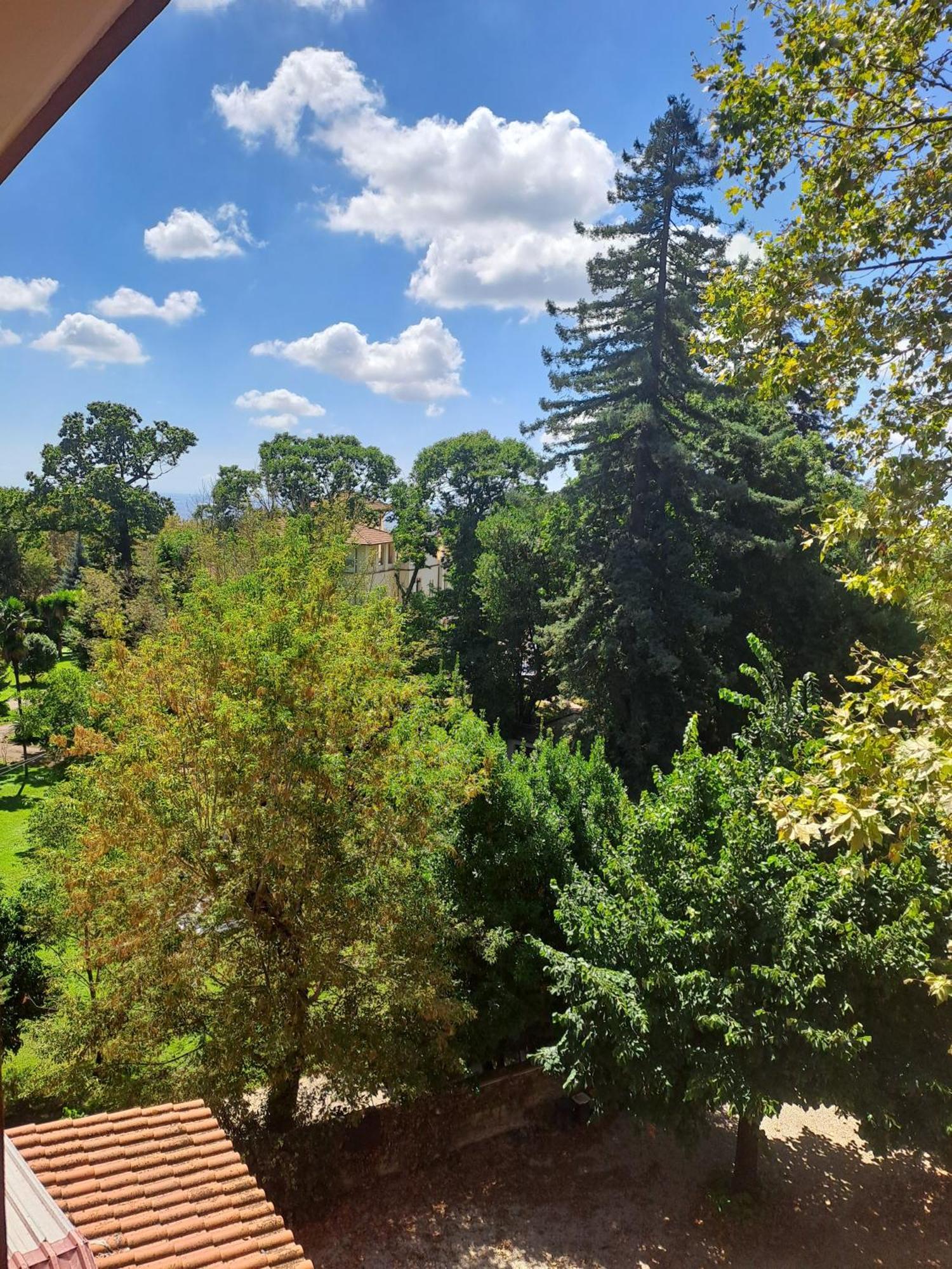 Hotel Villa Robinia Genzano di Roma Exteriér fotografie